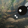 LA BALEINE ET L'ESCARGOTE Image 11