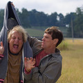 DUMB AND DUMBER Image 2