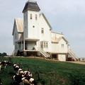 BEETLEJUICE Image 4