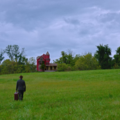 STRAWBERRY MANSION Image 2
