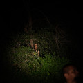 THE MEDIUM Image 7