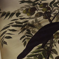 BIRDS OF AMERICA Image 1