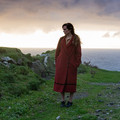 LES BANSHEES D'INISHERIN Image 8