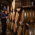 VIGNERONNES Image 14