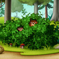 LA COURSE AU MIEL Image 3