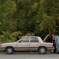 DRIVE-AWAY DOLLS Image 4