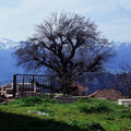 MARIN DES MONTAGNES Image 3