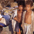 LES PÉPITES Image 12