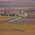 FAINÉANT·ES Image 7