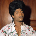 LITTLE RICHARD : I AM EVERYTHING Image 1