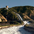 MAIN BASSE SUR L'EAU Image 2