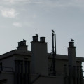 SYMPHONIE URBAINE Image 16