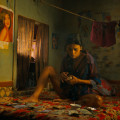 THE SHAMELESS Image 2