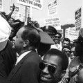 I AM NOT YOUR NEGRO Image 3